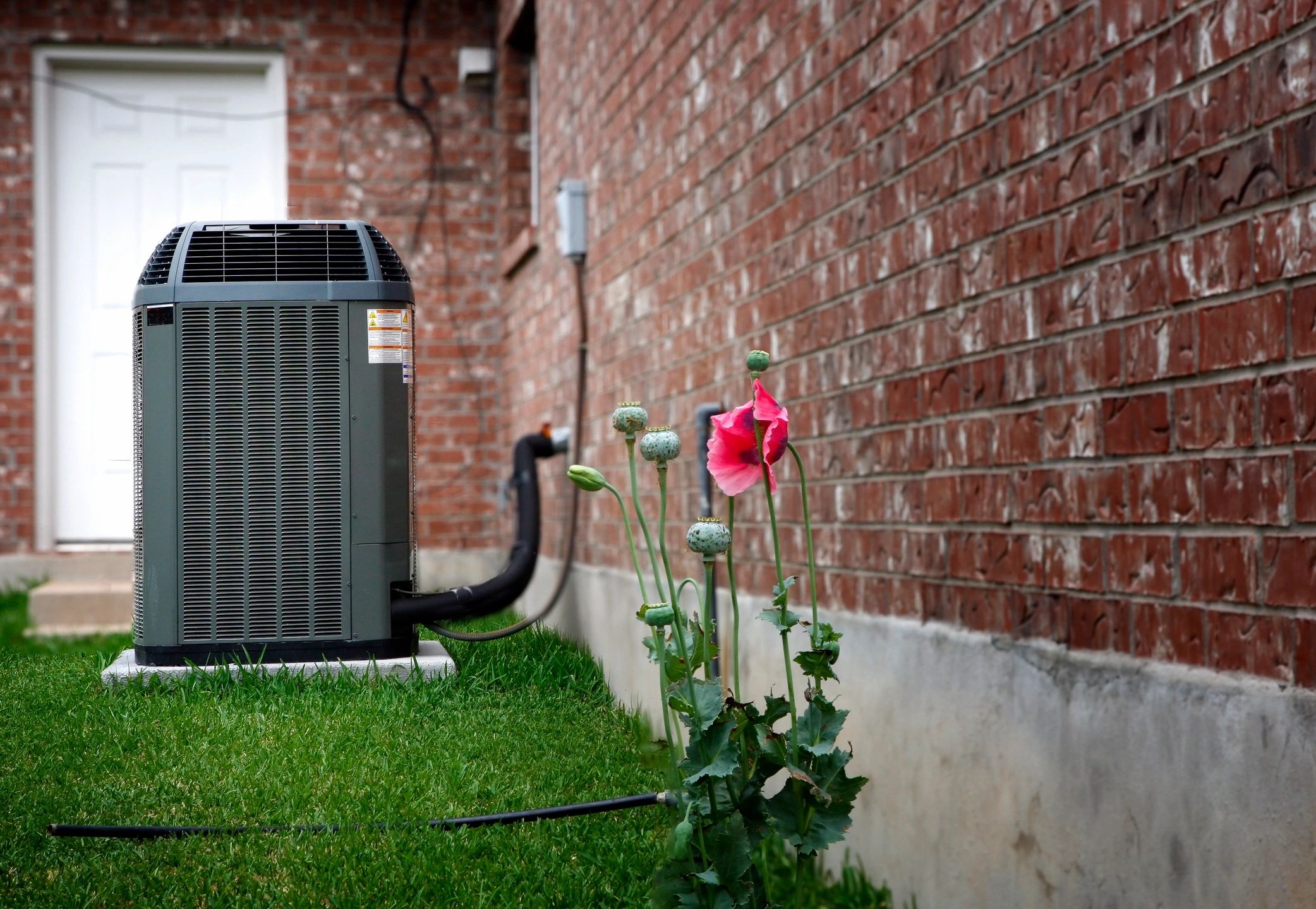 Energy Saving Tips to Follow This Earth Day