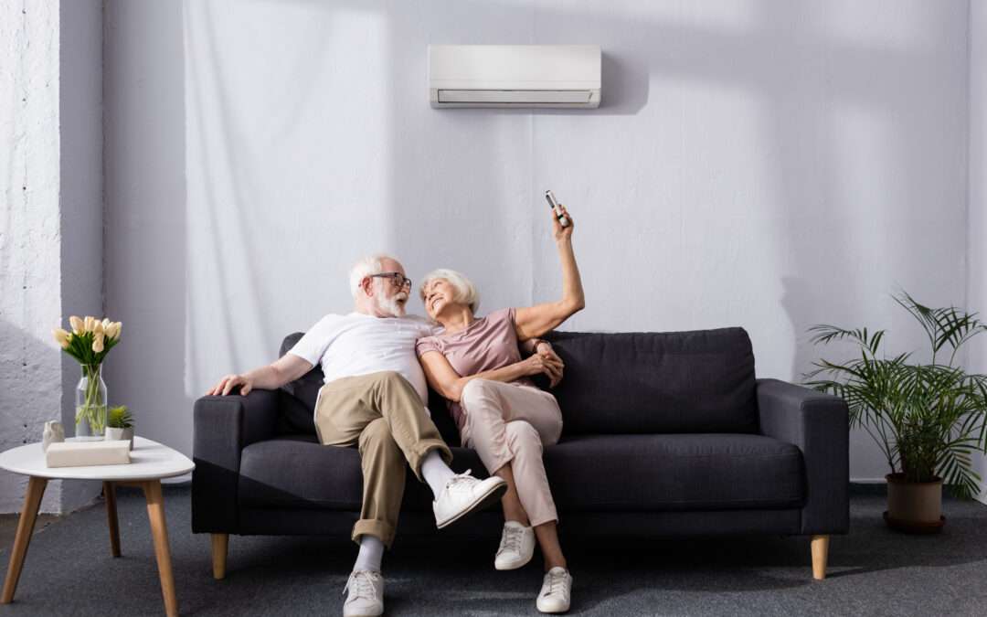 Cheerful Senior Couple who appear in love Using Remote Controller Of HVAC system On Couch